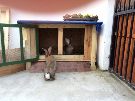 13183045_10206563226500569_1619907663_n